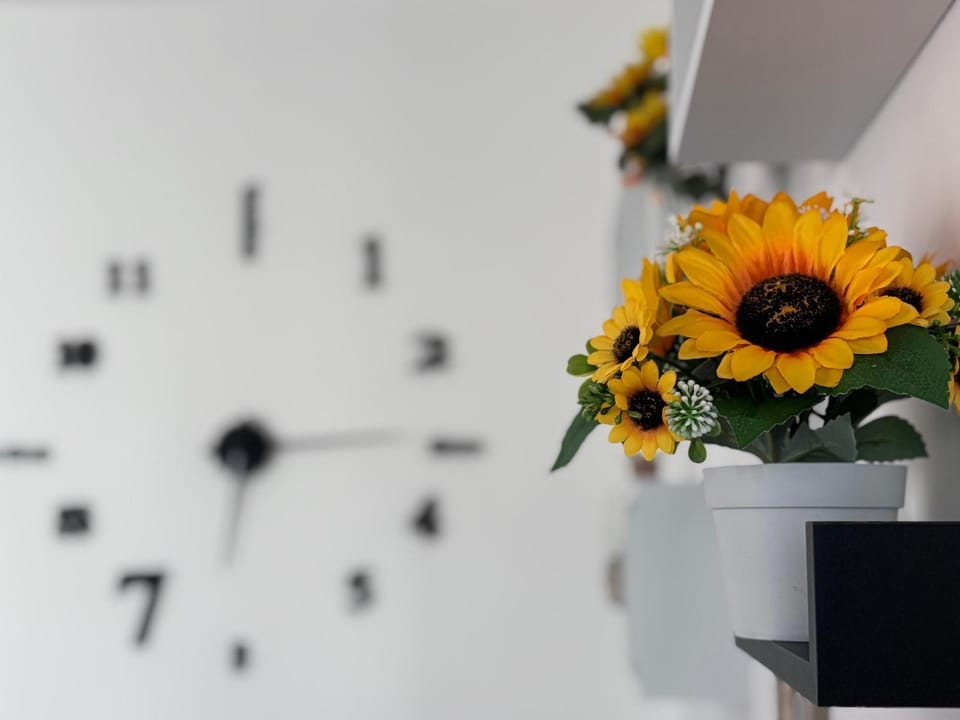 Sunflower Apartment City Center Apartment in Olbia