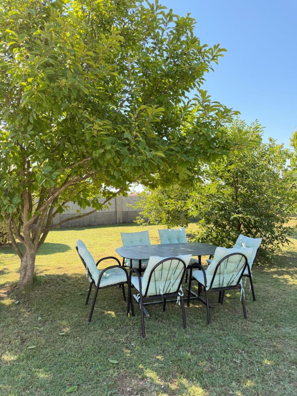 Apartments Ana - Airport shuttle option Apartment in Podgorica Municipality, Montenegro