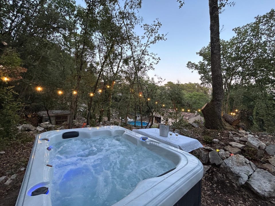 Villa climatisée, Piscine, Spa, jardin 4500 m2 dans la foret Villa in French Riviera