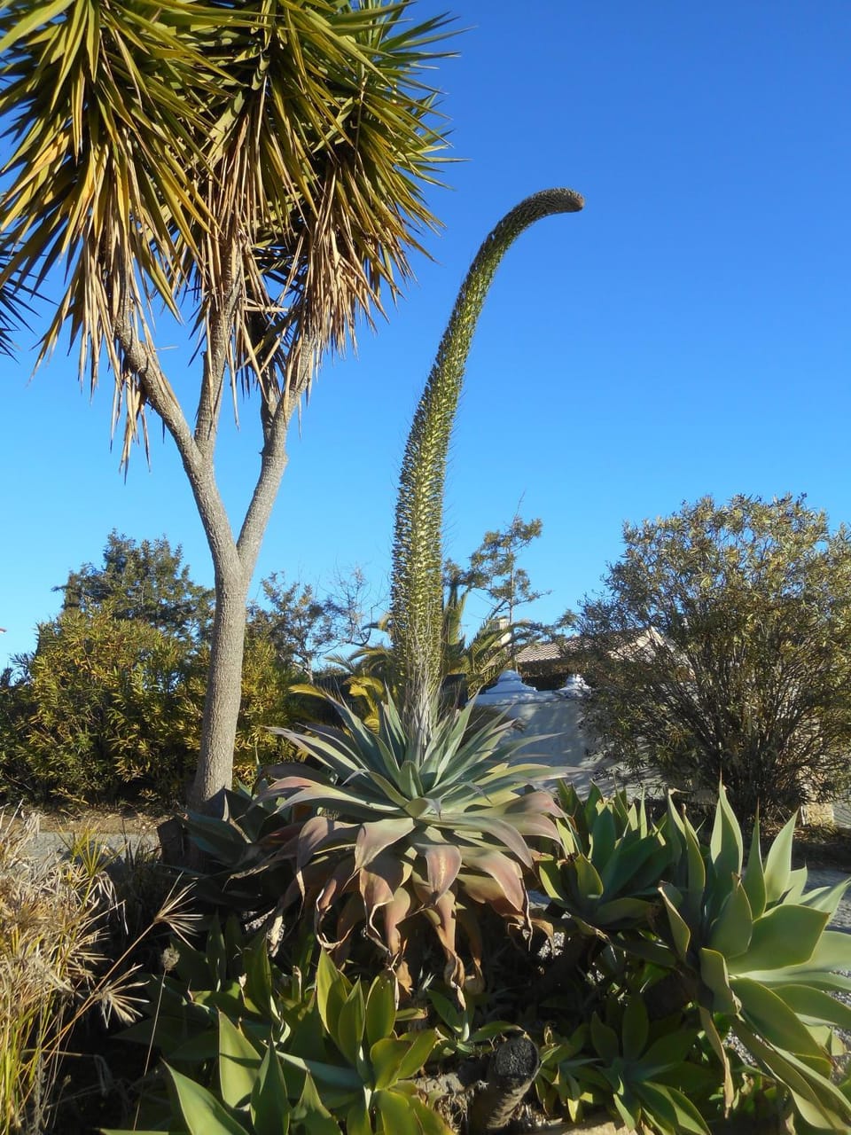 Garden, On site