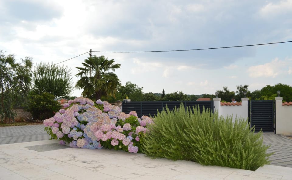 Day, Garden, Balcony/Terrace, Garden view