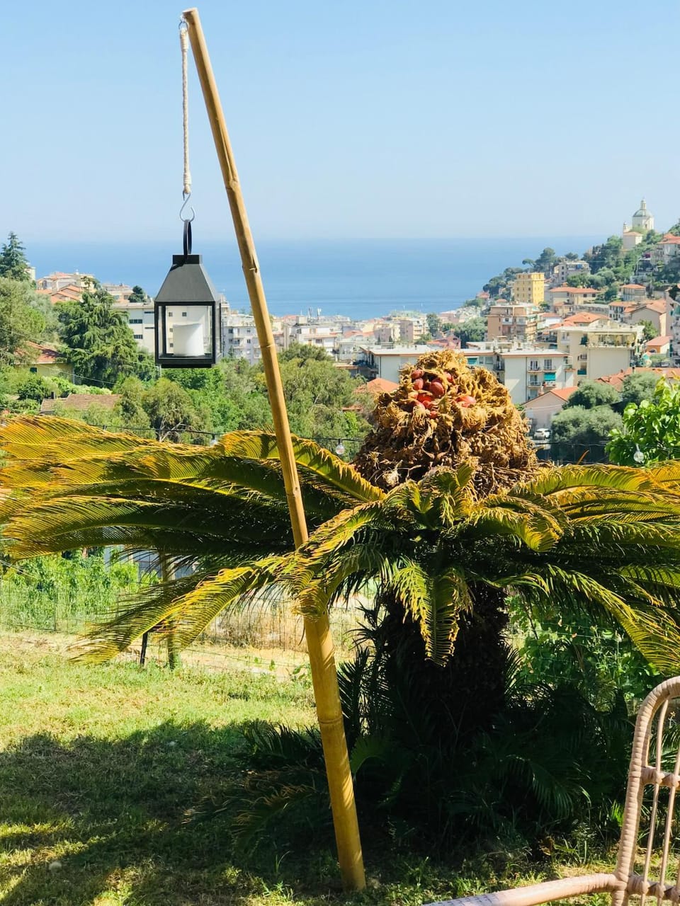 Garden view