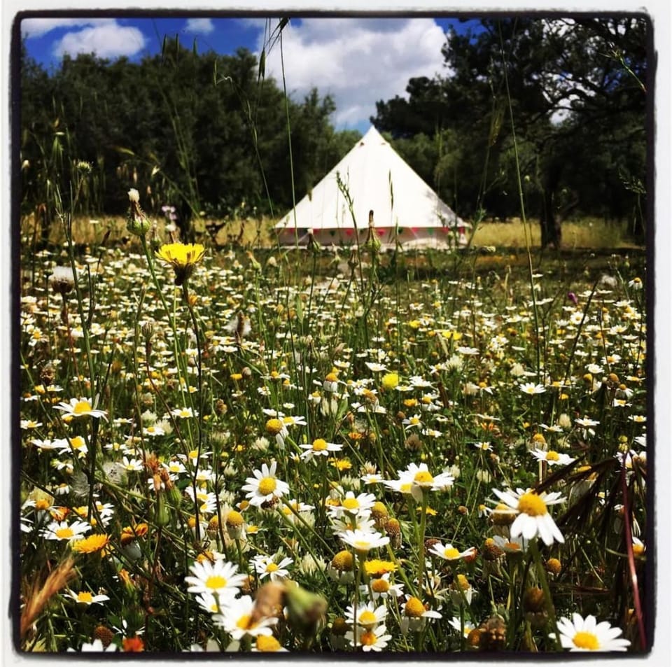 Carrubbella glamping & country village Luxury tent in Sicily