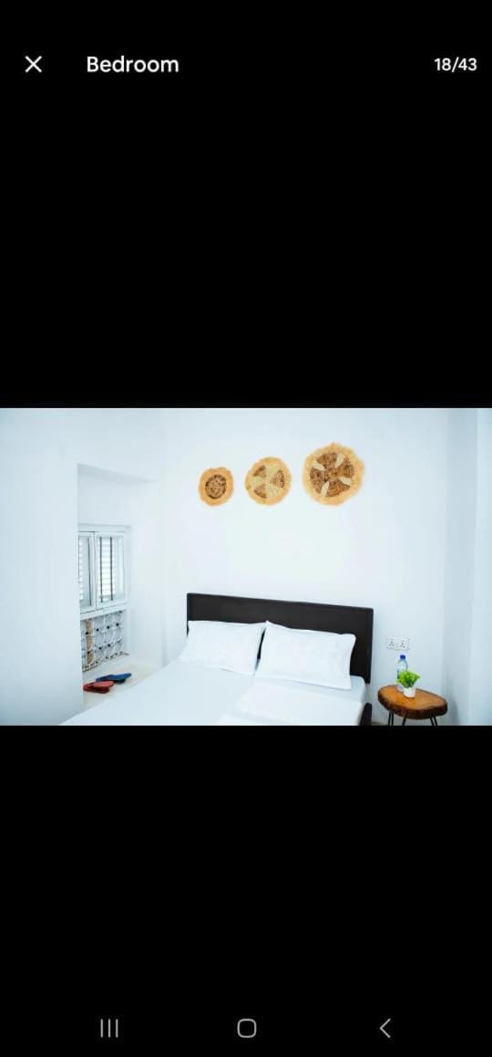 The courtyard Zanzibar Bed and Breakfast in Tanzania
