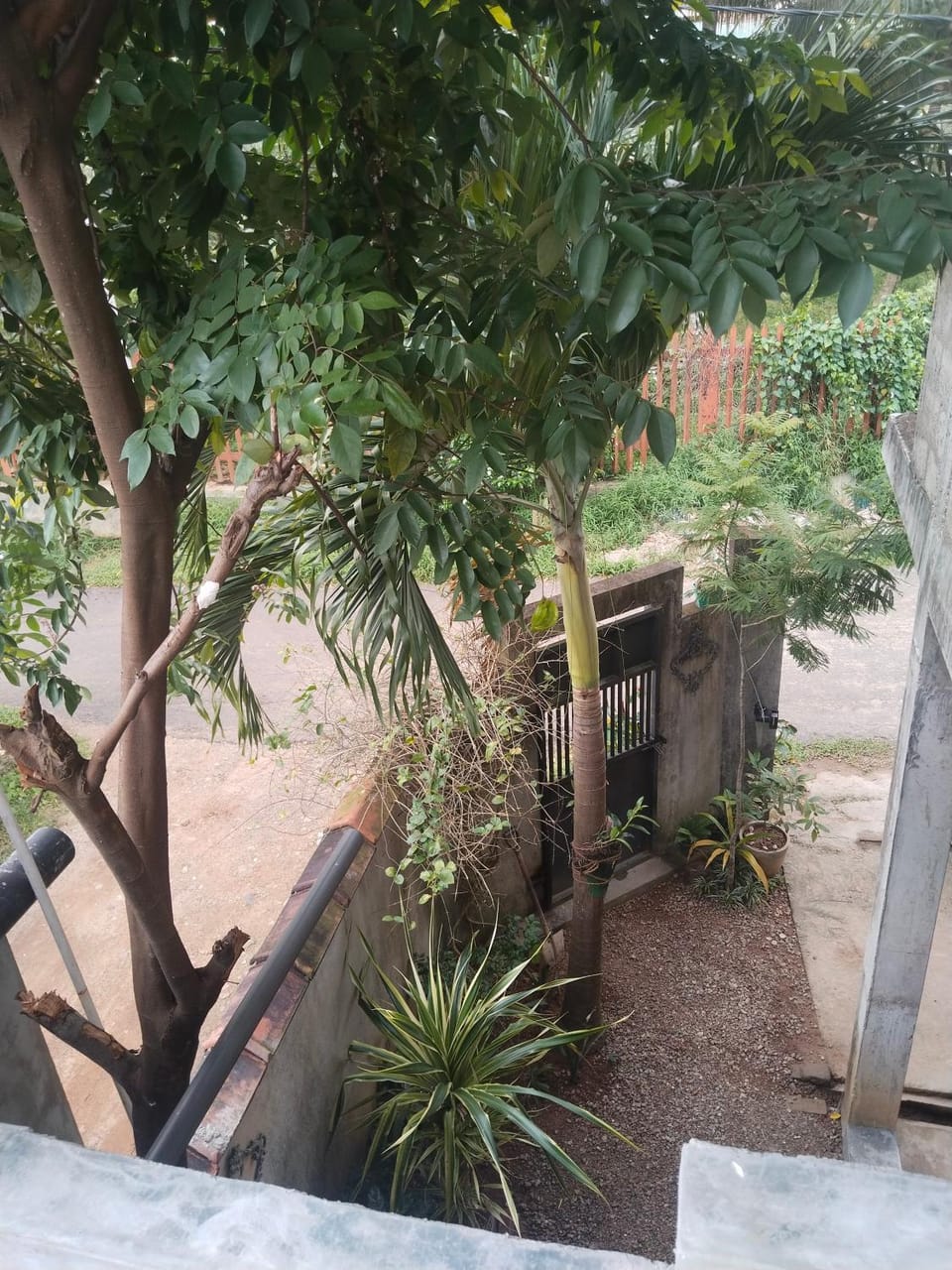 Nature Villa at Kajugama Vacation rental in Western Province