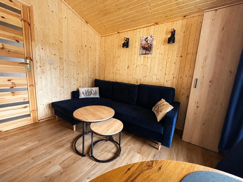U Leona Apartment in West Pomeranian Voivodeship, Poland