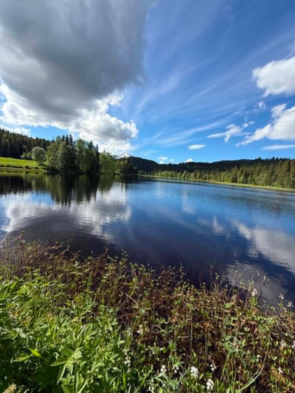 Lake view