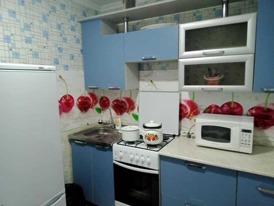 Апартаменты на Алаш 221 Apartment in Kazakhstan