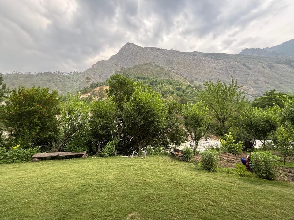 View (from property/room)