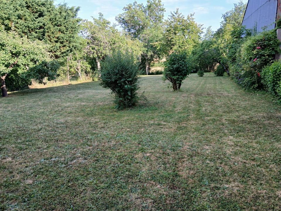 Garden, Garden