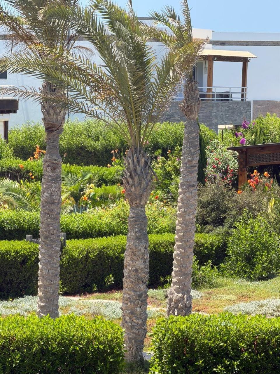 فيلا علي البحر بالساحل الشمالي Villa in Egypt