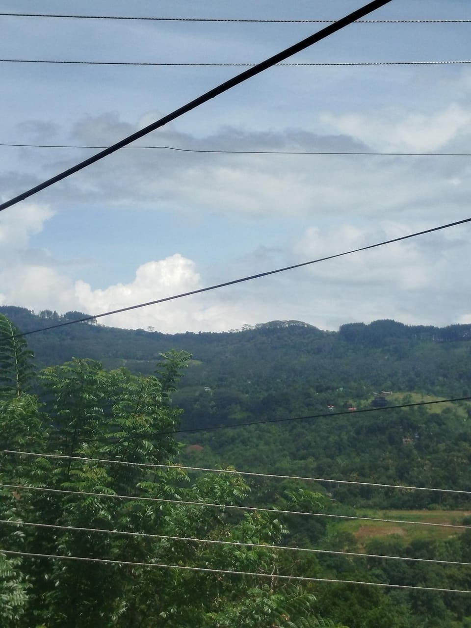 Mount crest homestay Vacation rental in Gangawatakorale