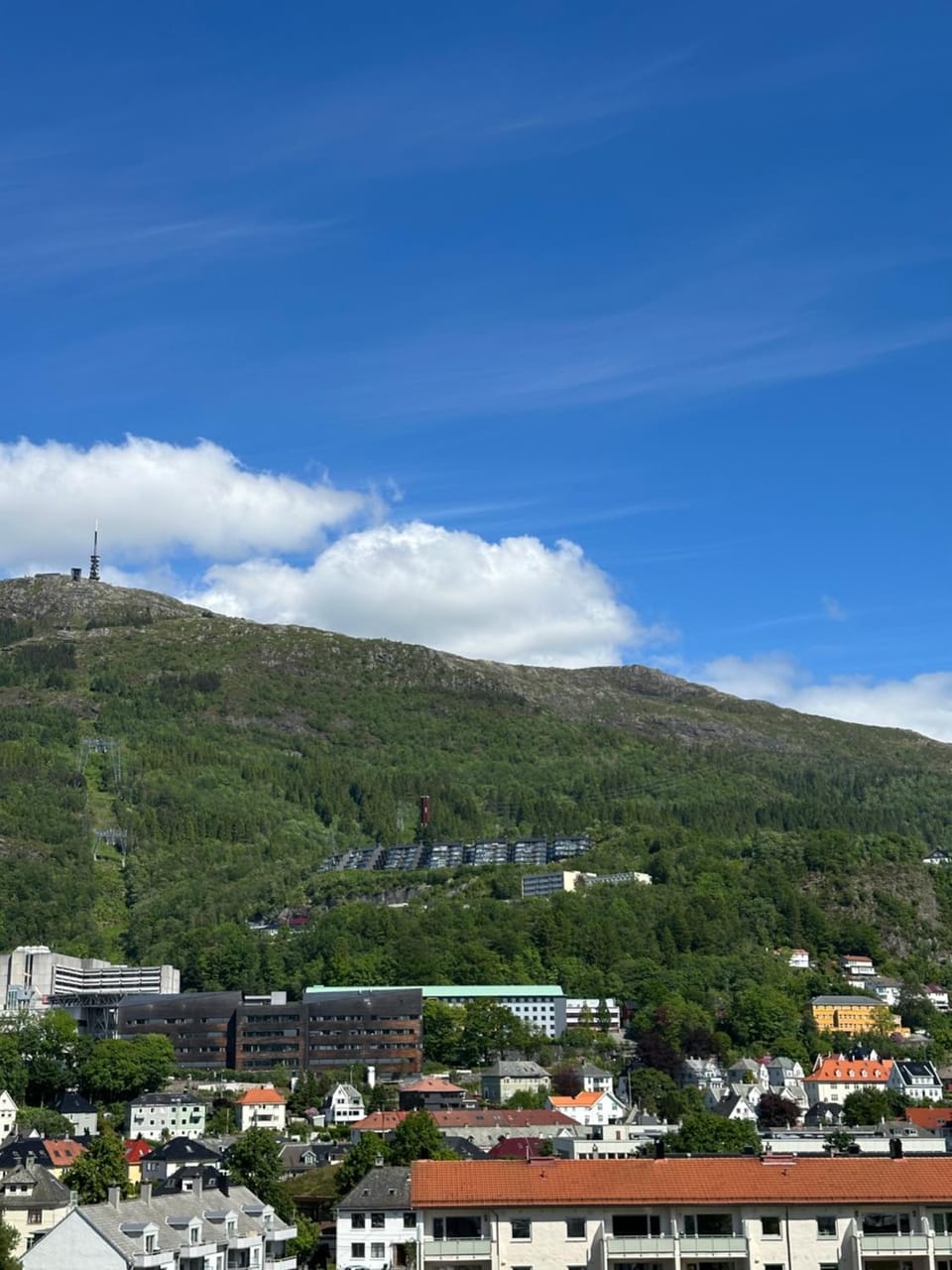 Mountain view