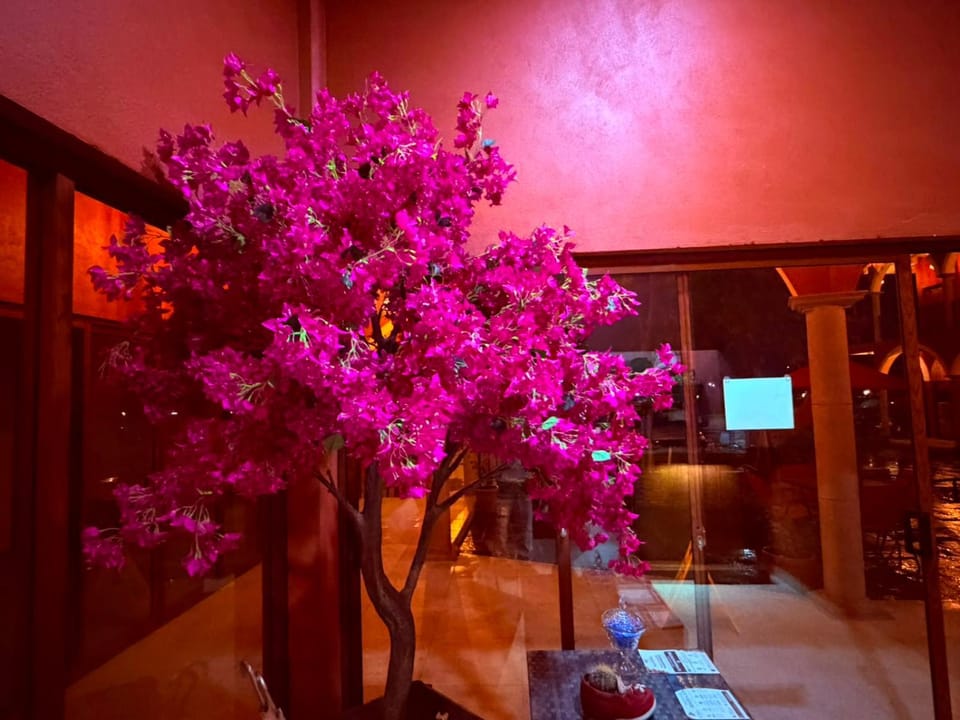 Hotel Estancia Bugambilias Hotel in State of Guanajuato