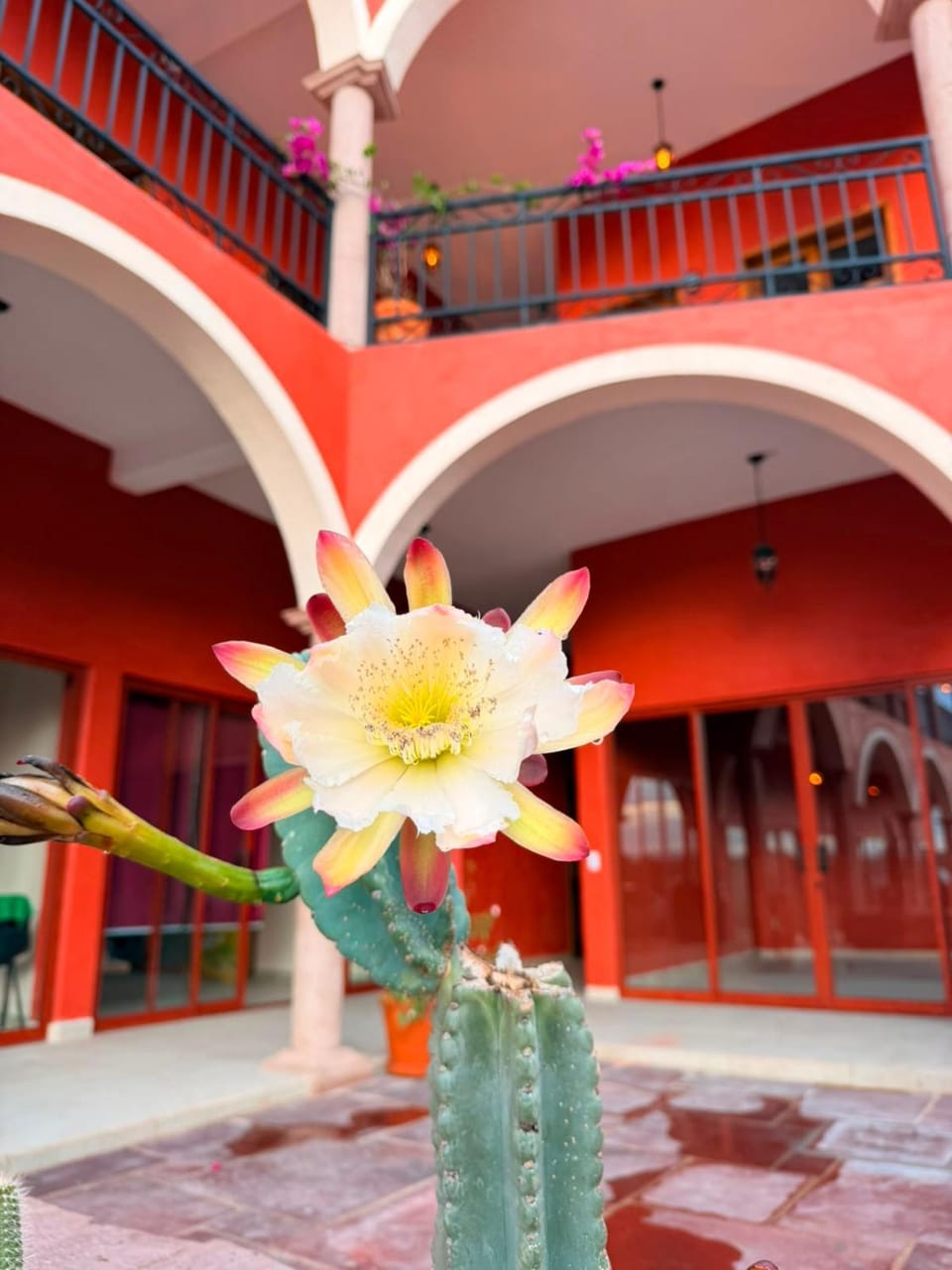 Hotel Estancia Bugambilias Hotel in State of Guanajuato
