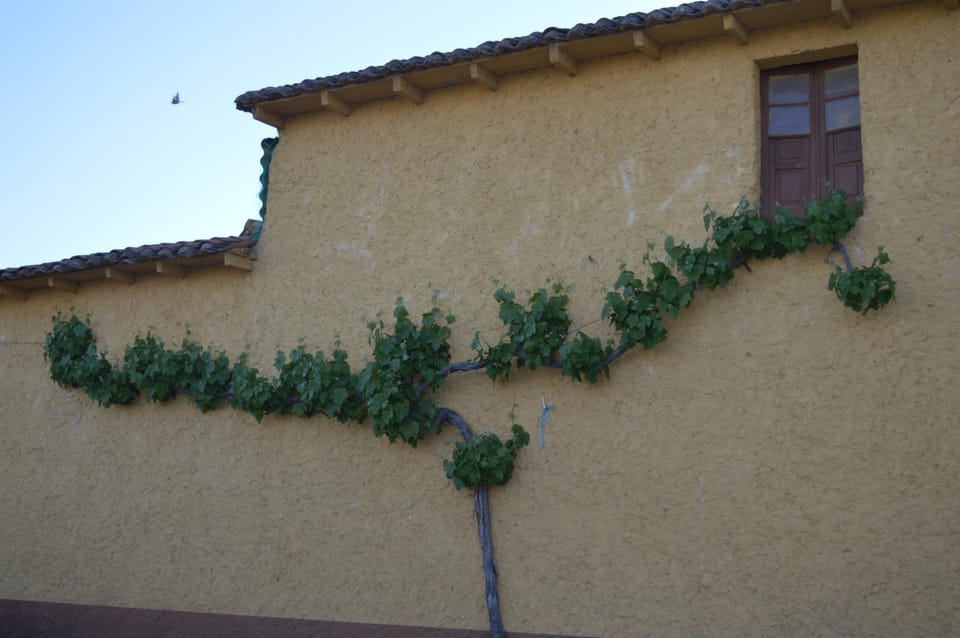 Facade/entrance, Off site