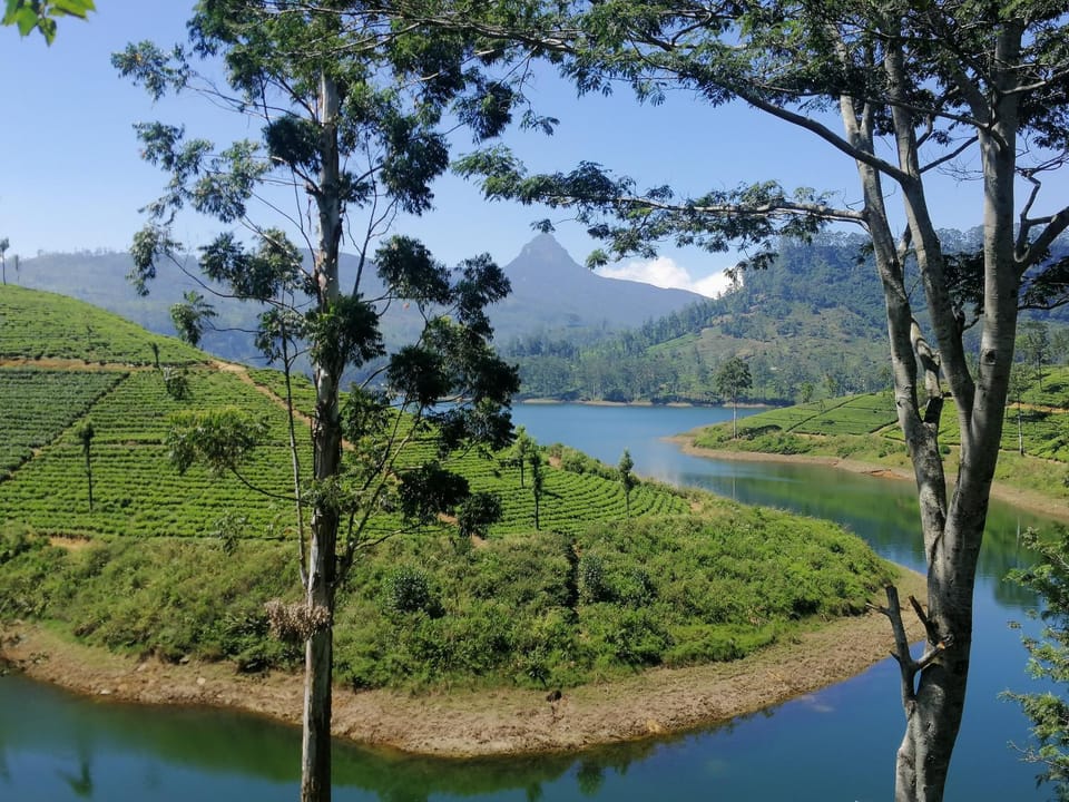 Hugging Clouds Bed and Breakfast in Central Province