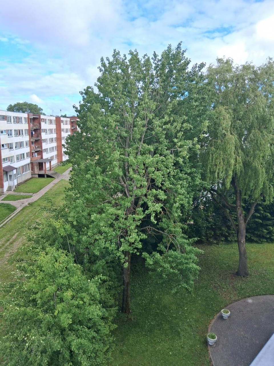 Property building
