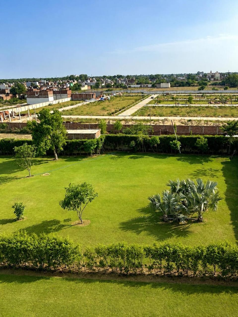 Garden view