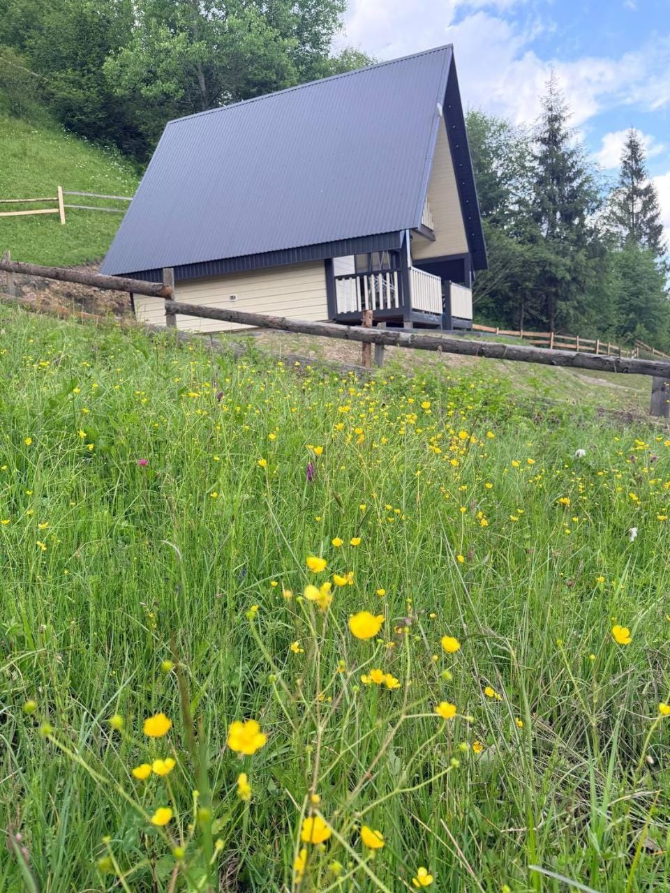 Подих Свободи House in Ukraine