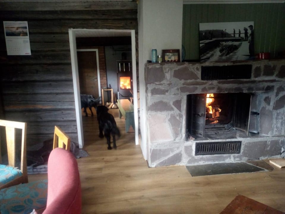 Living room, Animals, Pets, fireplace