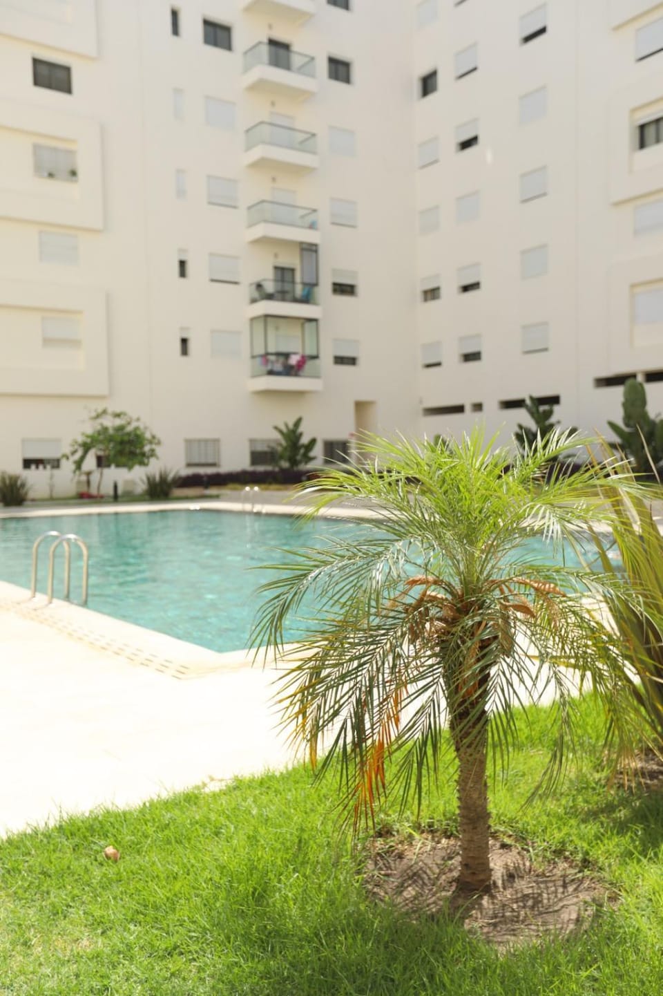 Majorelle Pool & Garden Apartment Apartment in Tangier
