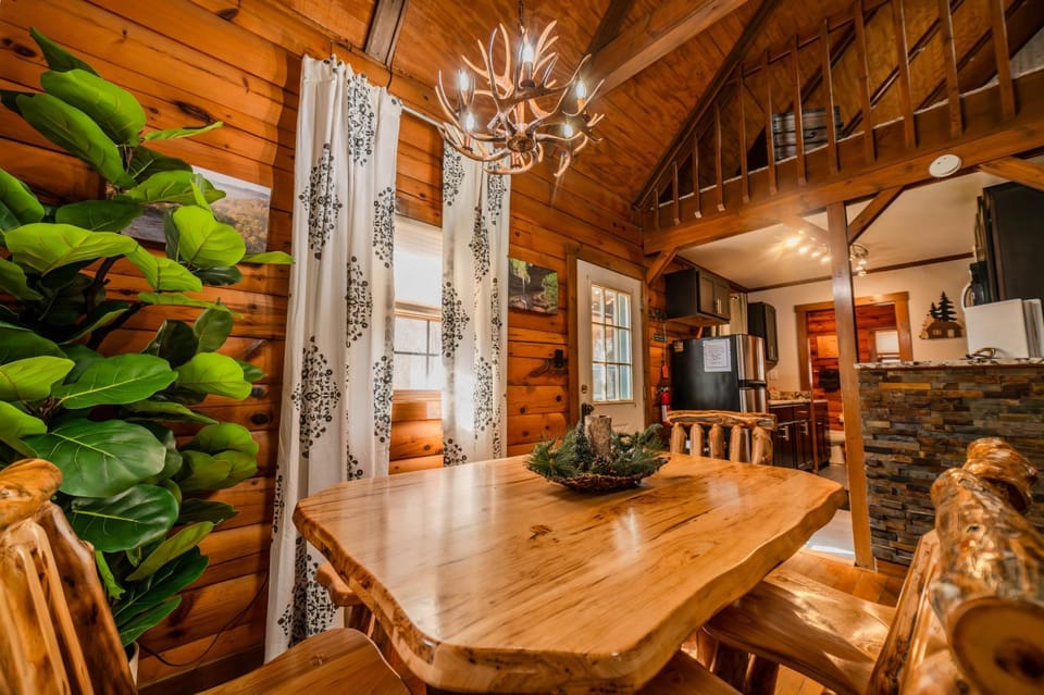 Kitchen or kitchenette, Decorative detail, Dining area