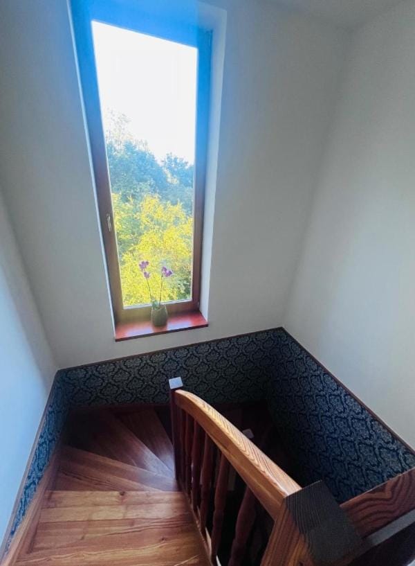 The Garden Oasis House in Czechia