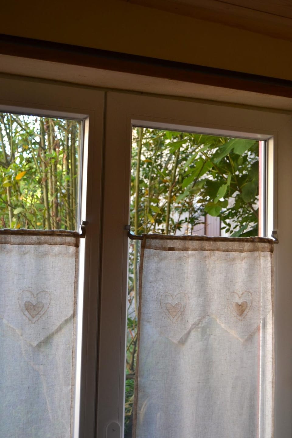 View (from property/room)