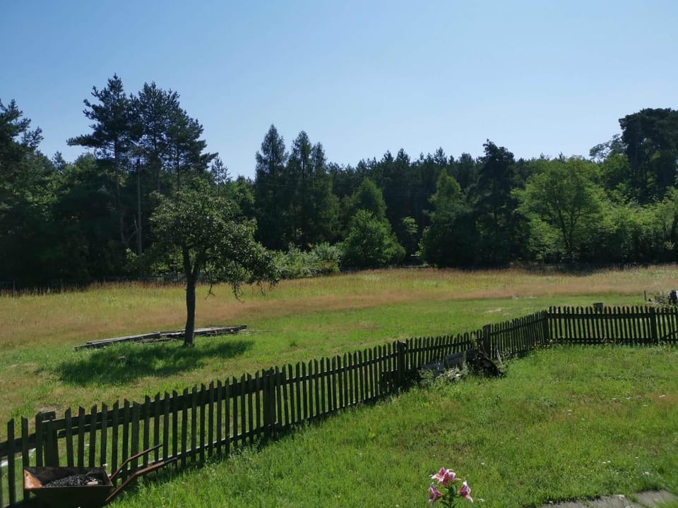 Natural landscape, Garden, Garden, Garden view