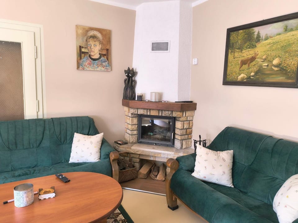 Communal lounge/ TV room, Living room, Seating area, fireplace, pet friendly, pet friendly