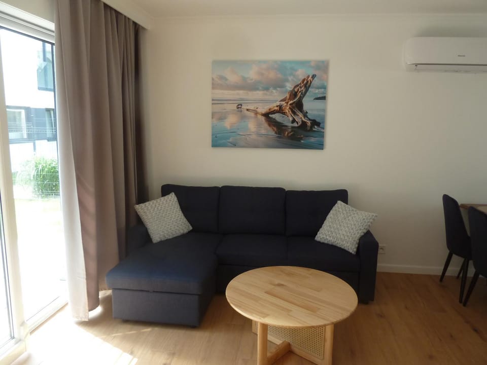 Living room, Seating area, air conditioner