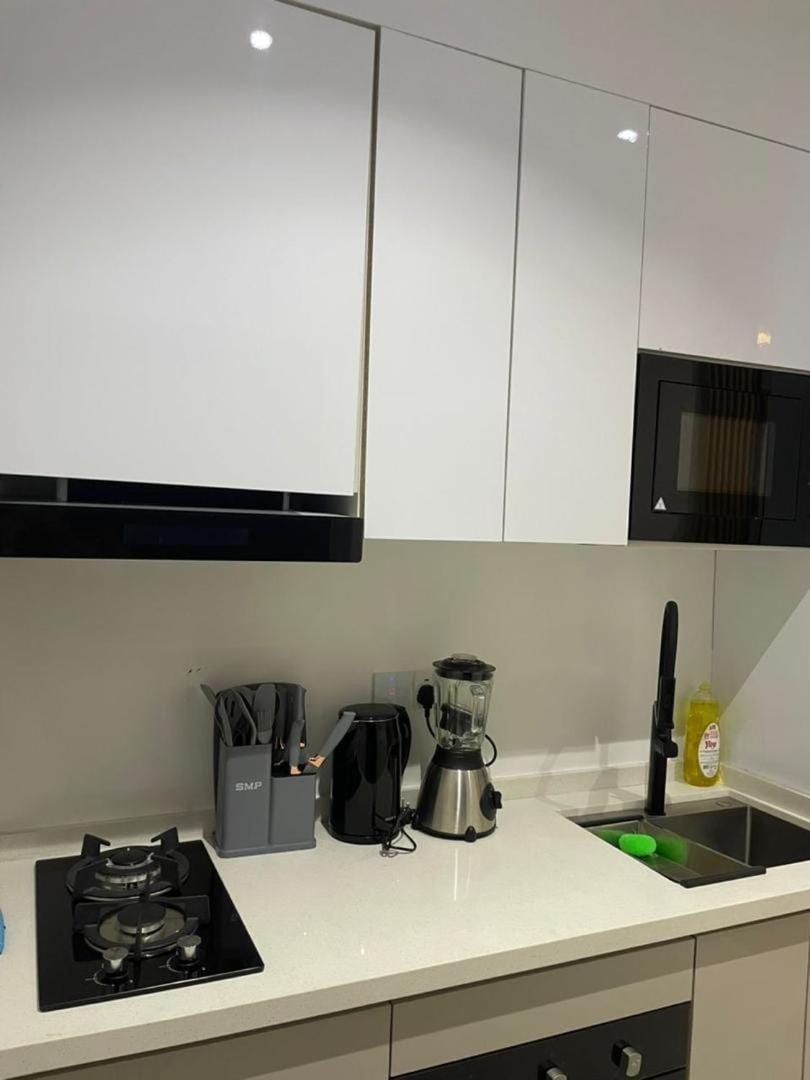 Lovely & Cozy 1 Bedroom Apartment Apartment in Lagos