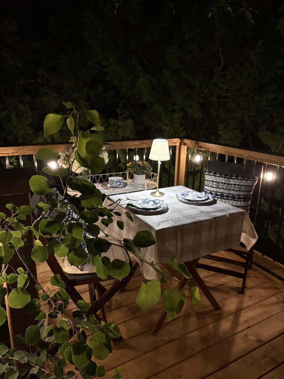 Patio, Night, Garden, Seating area, Dining area