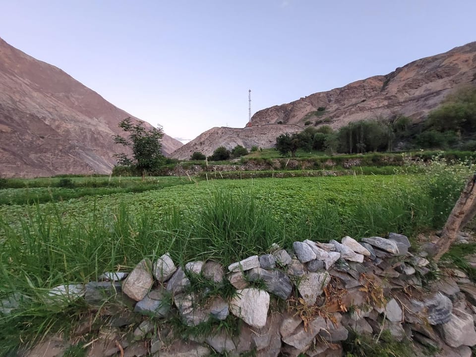 ITW- Into The Wild Camps , Tyakshi , Leh Farm Stay in India