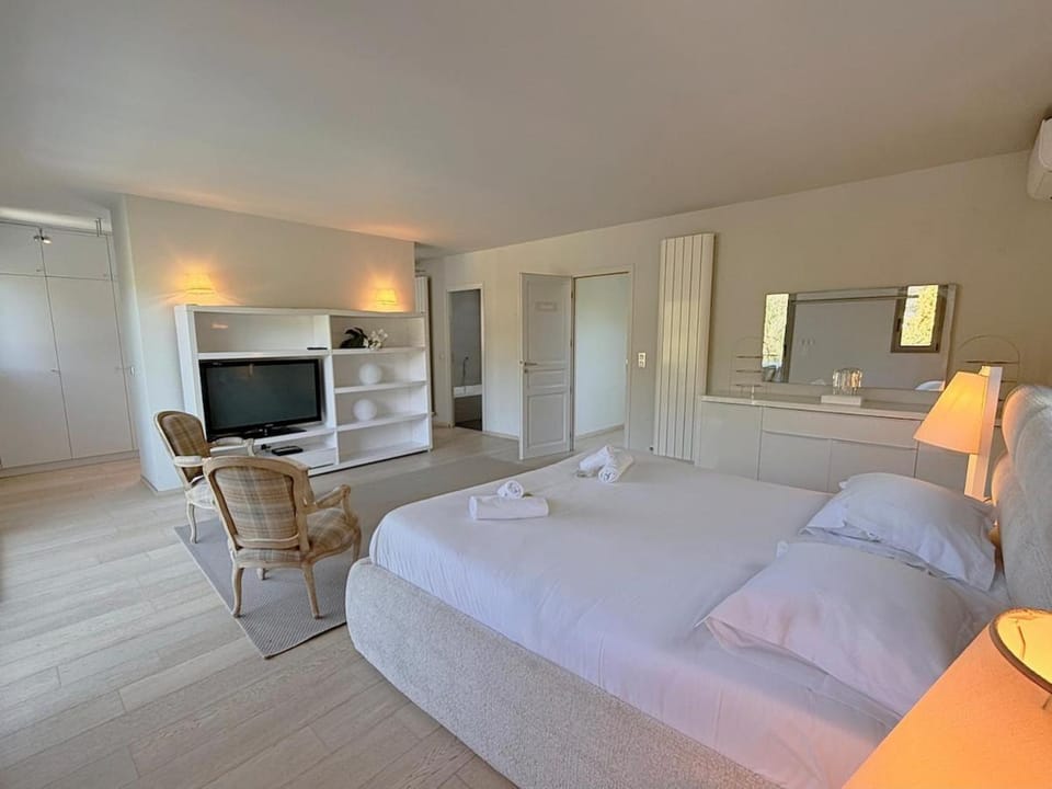 Villa Hamo 6 Bedroom - Charming pool - Cannes Center Villa in Cannes