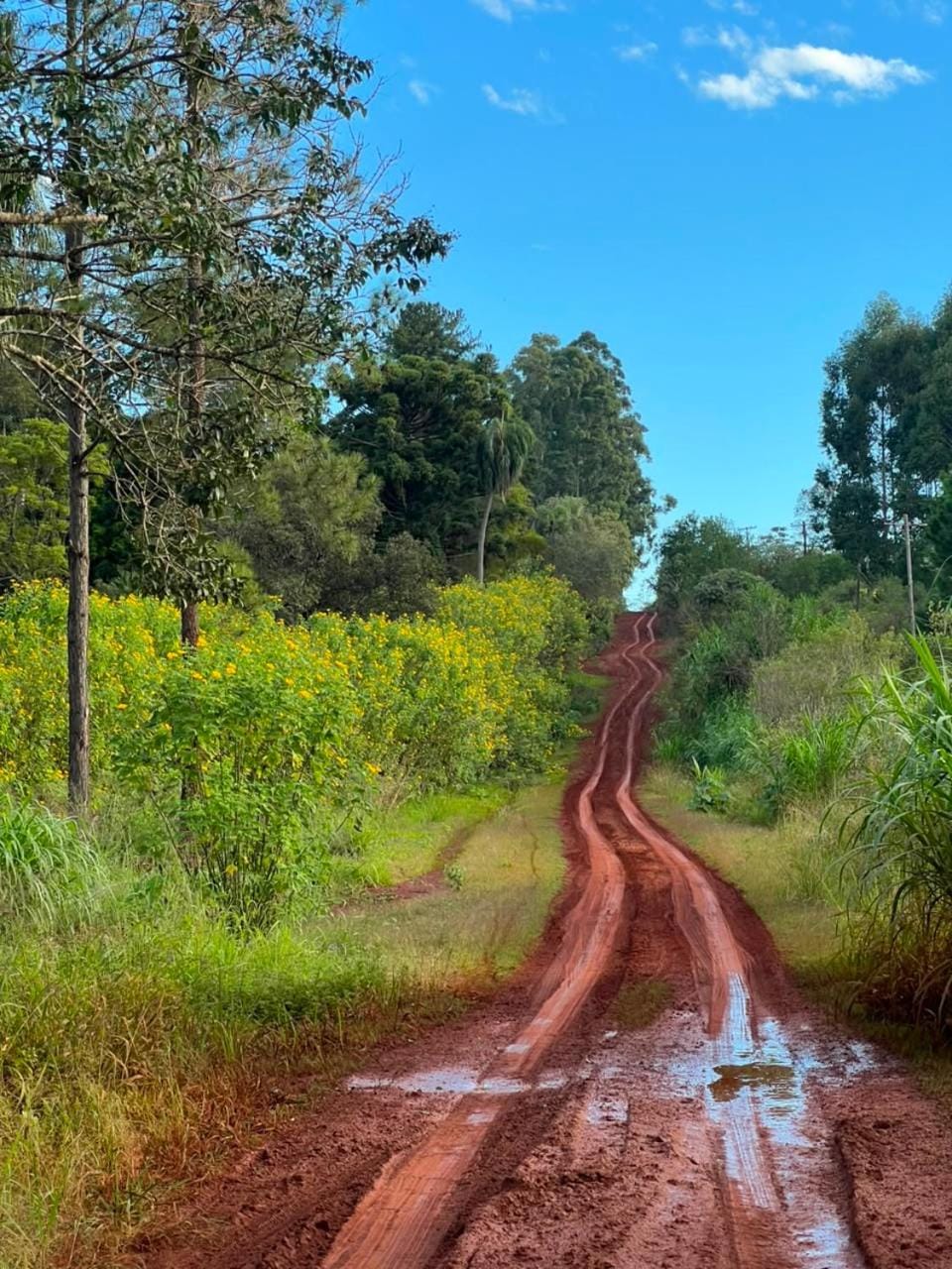 MadreSelva Refugio de Campo House in Misiones Province, Argentina