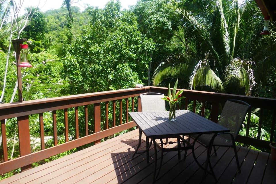 Kliffstone Jungle House House in Cayo District