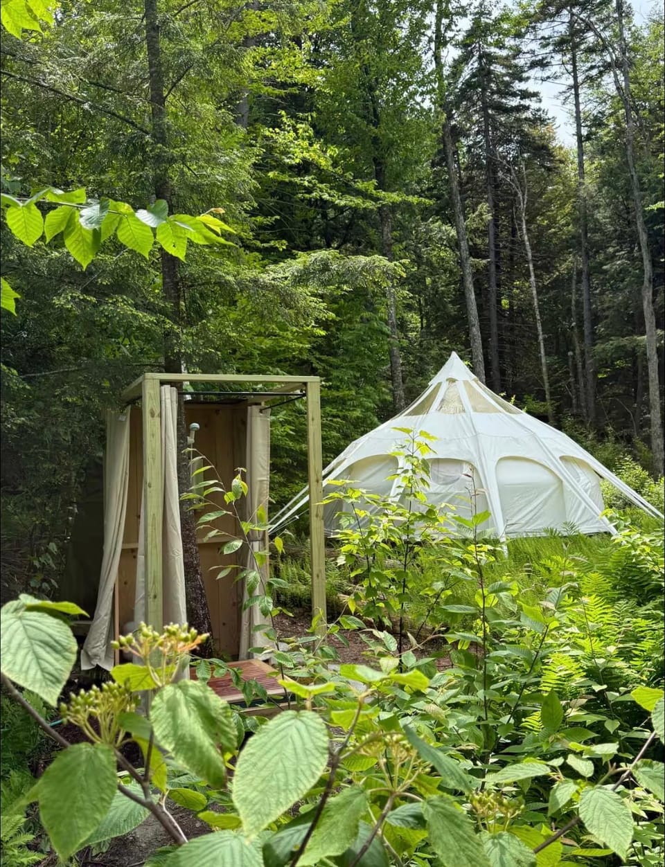 Cozy Glamping Tent with Sauna Luxury tent in Morristown