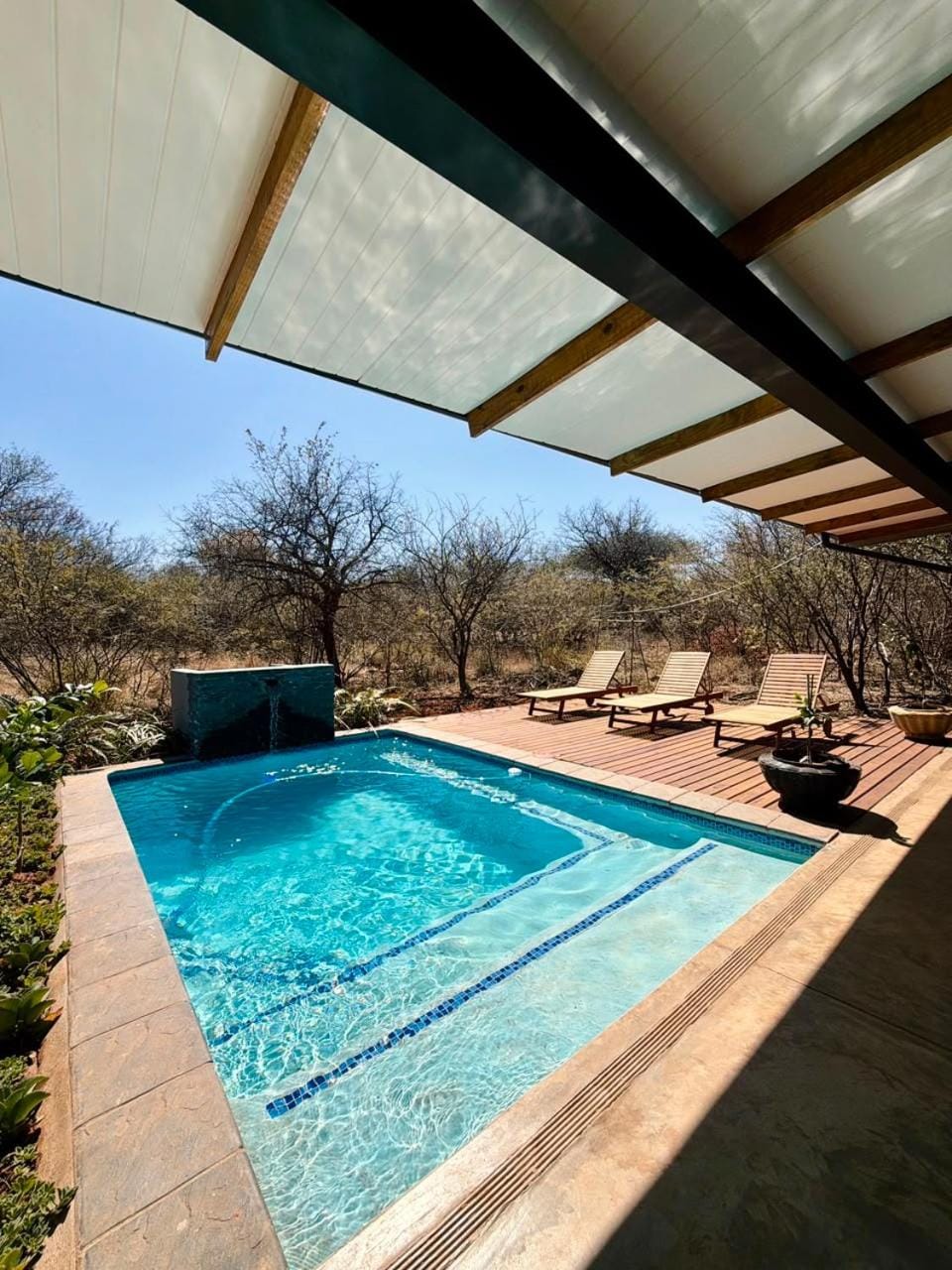 Swimming pool, sunbed