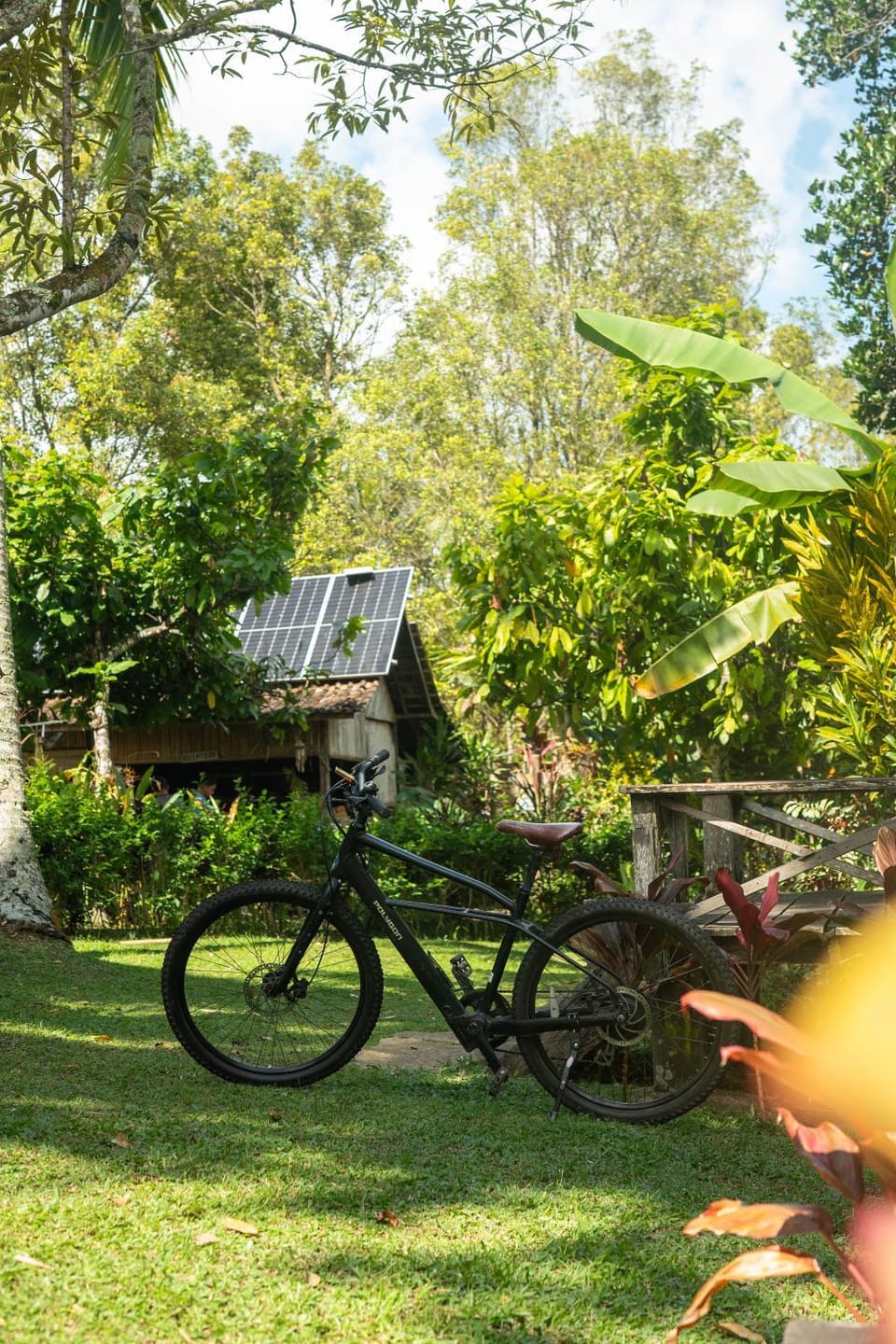Spring, Day, People, Natural landscape, Garden, Cycling, Garden view, group of guests