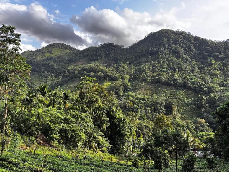 Natural landscape