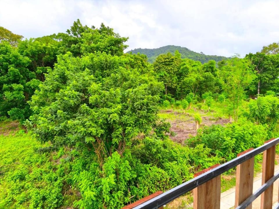 Natural landscape, View (from property/room), View (from property/room)