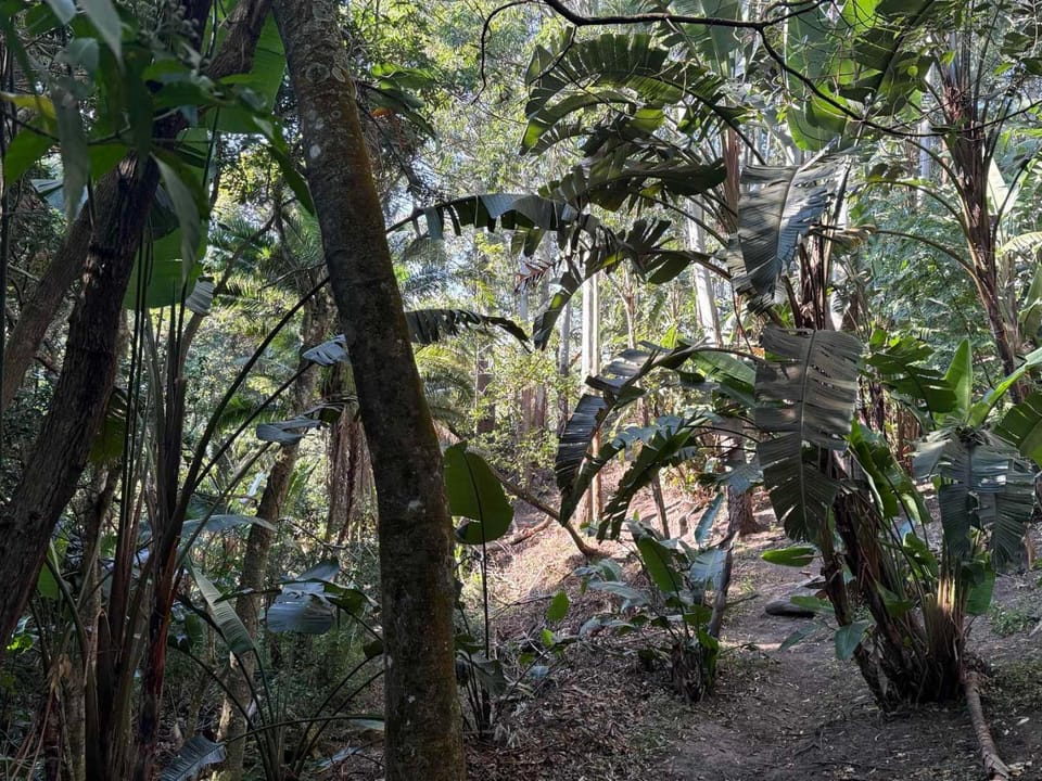 Garden, Garden view