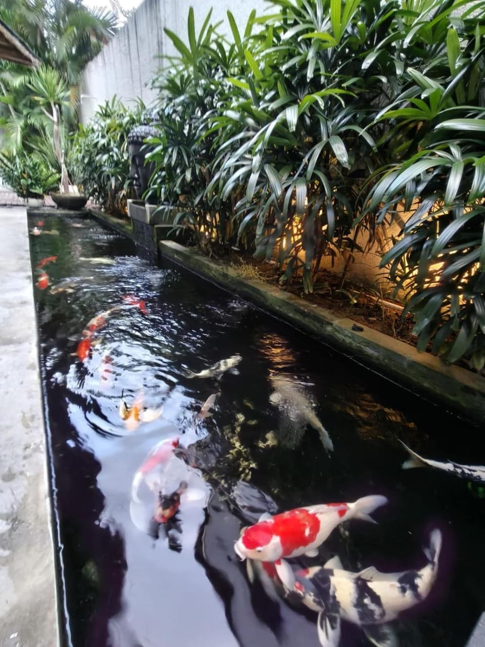 Garden view