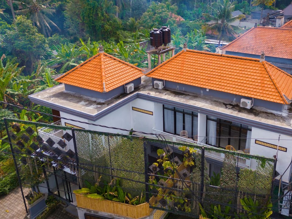 Property building, Day, Garden view