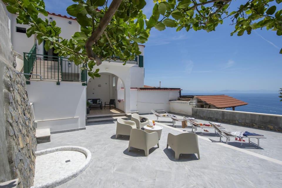 Patio, Garden, Garden view