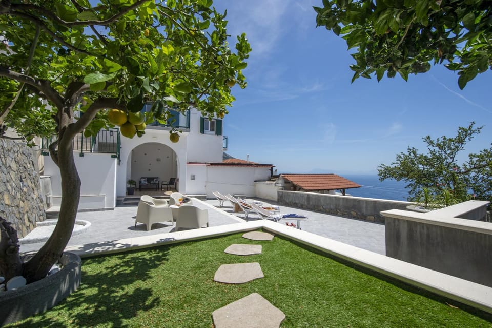 Patio, Garden, Garden view