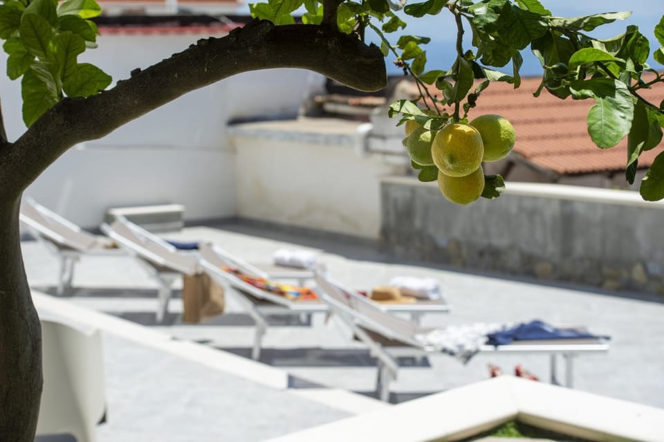 Patio, Garden, Garden view