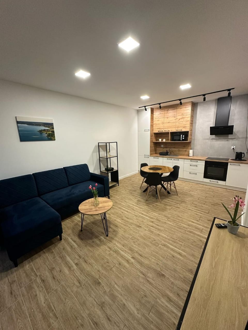 Olmar Przybrodzin Apartment in Greater Poland Voivodeship